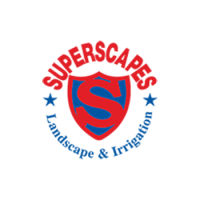 Superscapes Superscapes