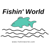 Fishin' World